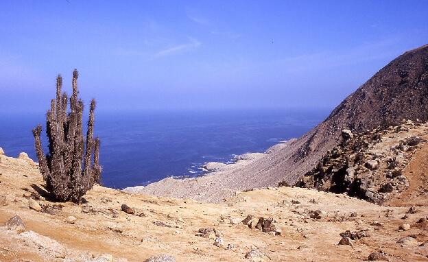 Blick auf den Pazifik vom ca. 800m hohen Kliff, ausnahmsweise ohne Nebel,