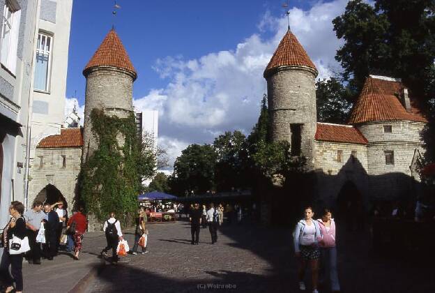Tallin