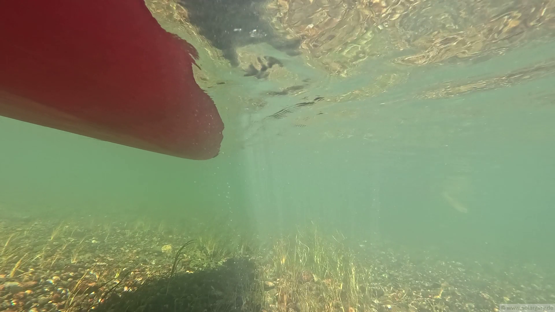 Unterwasser ist es auch schön! Der Ottenheimer Mühlbach aus einer anderen Perspektive.