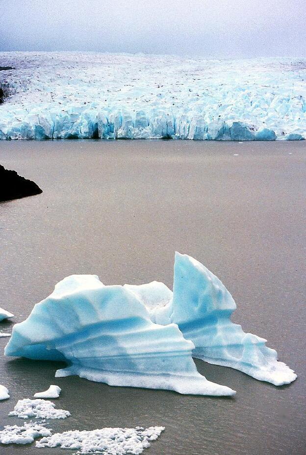 Ein Eisberg (chilenisch: tampano) am Glaciar Grey (der Gletscher im Hintergrund)