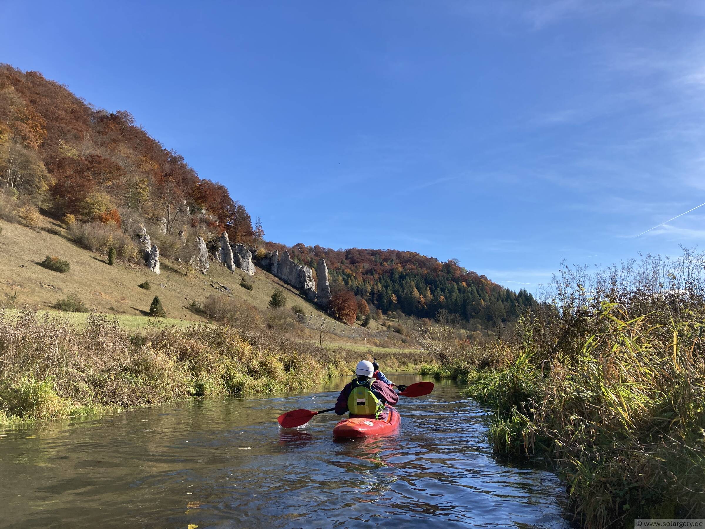 Freigewitterte Schwammstotzen und Wacholder